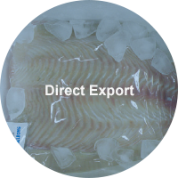 Direct Ecport