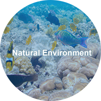 Natural Environment