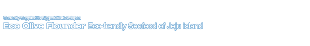 eco olive flounder eco-frendly seafood of jeju island