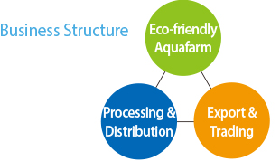 business structure
