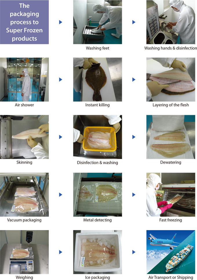 The packaging process to Super Frozen  products -Washing feet - Washing feet - Air shower - Washing feet - Washing feet  - Skinning - Disinfection & washing - Dewatering - Vacuum packaging - Metal detecting  - Fast freezing - Weighing -Ice packaging - Air Transport or Shipping 
