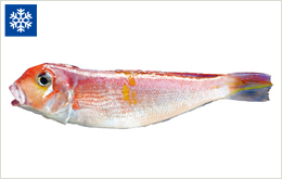 Red tilefish